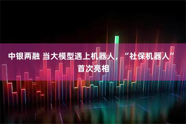 中银两融 当大模型遇上机器人，“社保机器人” 首次亮相