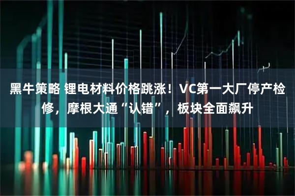 黑牛策略 锂电材料价格跳涨！VC第一大厂停产检修，摩根大通“认错”，板块全面飙升