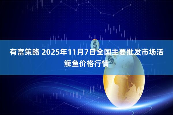 有富策略 2025年11月7日全国主要批发市场活鳜鱼价格行情