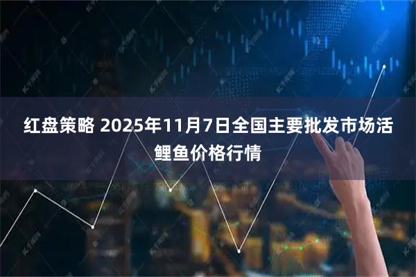 红盘策略 2025年11月7日全国主要批发市场活鲤鱼价格行情