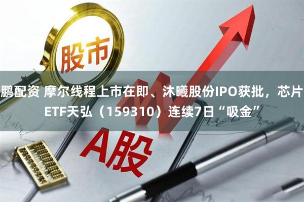 鹏配资 摩尔线程上市在即、沐曦股份IPO获批，芯片ETF天弘（159310）连续7日“吸金”