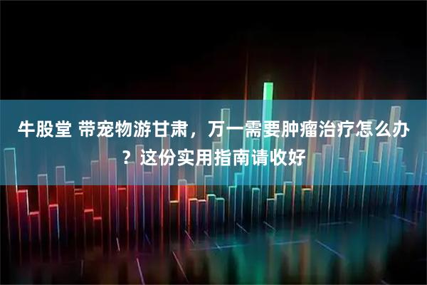 牛股堂 带宠物游甘肃，万一需要肿瘤治疗怎么办？这份实用指南请收好