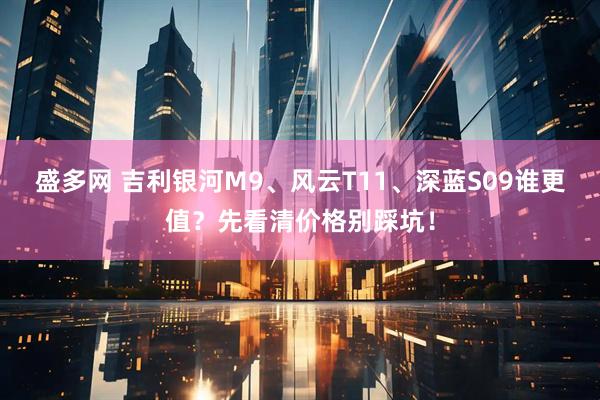 盛多网 吉利银河M9、风云T11、深蓝S09谁更值？先看清价格别踩坑！